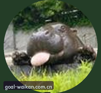 王浩